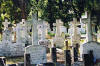 polonezkoy_cimetiere04.jpg (46185 octets)